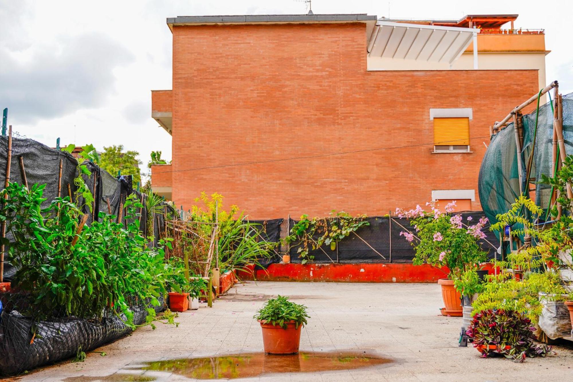 Отель Bed & Breakfast La Terrazza Латина Экстерьер фото